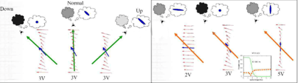 comparison of view direction