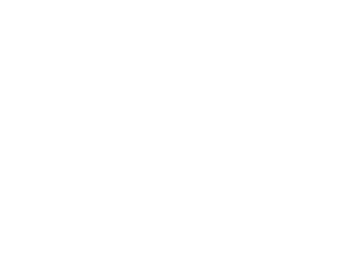 lgo